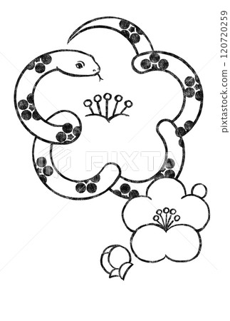 Small white plum blossoms and buds on a white snake in a plum blossom pattern, woodblock print style, black 120720259
