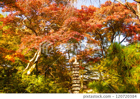 【京都風景】紅葉絢麗的寶嚴院 【京都風景】紅葉絢麗的寶嚴院 120720384