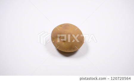 potato potato 120720564