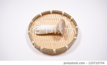 king oyster mushroom 120720744