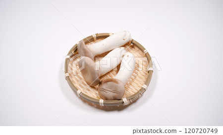 杏鮑菇 杏鮑菇 120720749