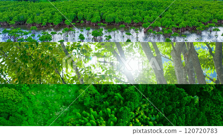 Collage of natural environment images Collage of natural environment images 120720783
