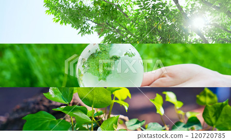 Environmental image collage 120720785