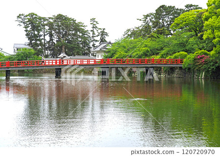 小田原城護城河和學橋[神奈川縣小田原市] 120720970