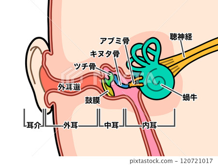 Inside the ear (with text) 120721017