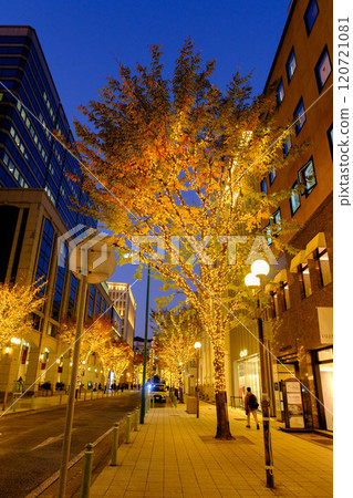 拍攝於 12 月的神戶元町舊定居點，當時神戶市燈火輝煌。 120721081