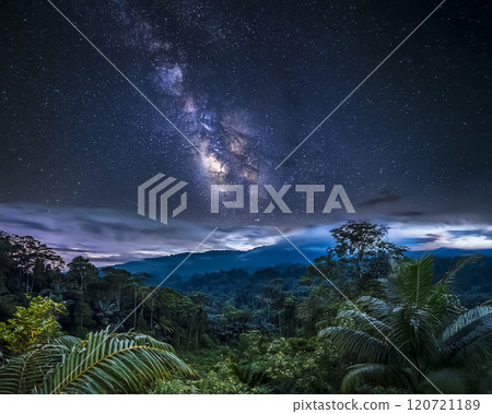 Tropical virgin forest: Starry sky and jungle image material 120721189
