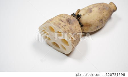 Lotus root 120721396