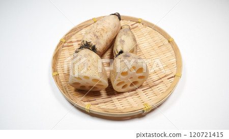 Lotus root Lotus root 120721415