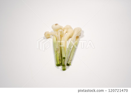 擴展 擴展 120721470