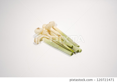 Extend Extend 120721471