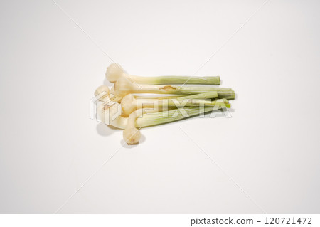 Extend Extend 120721472