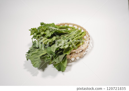 Scallops 120721835