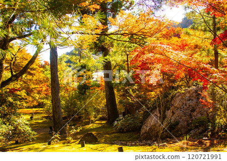 【京都風景】紅葉絢麗的寶嚴院 【京都風景】紅葉絢麗的寶嚴院 120721991