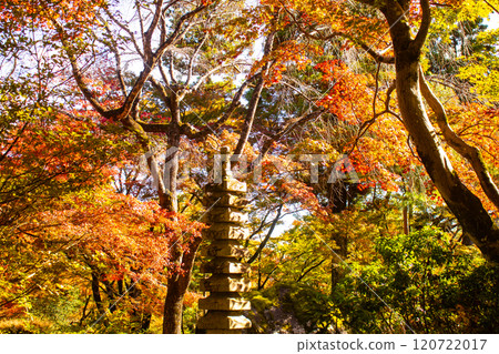 【京都風景】紅葉絢麗的寶嚴院 【京都風景】紅葉絢麗的寶嚴院 120722017
