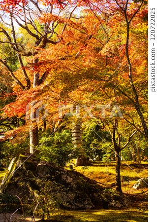 【京都風景】紅葉絢麗的寶嚴院 【京都風景】紅葉絢麗的寶嚴院 120722025