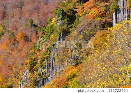 Akiyamago Nunoiwa columnar joints stand out in the autumn leaves Akiyamago Nunoiwa columnar joints stand out in the autumn leaves 120722464