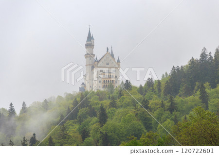 Famous Neuschwanstein Castle in fog. Bavarian Alps, Germany 120722601