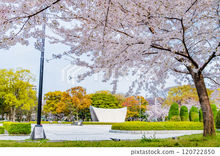 櫻花盛開的廣島和平紀念公園 120722850