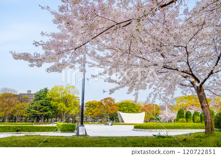 櫻花盛開的廣島和平紀念公園 120722851