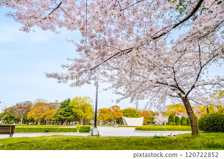 櫻花盛開的廣島和平紀念公園 120722852