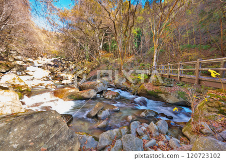 冰河溪谷的秋天 120723102