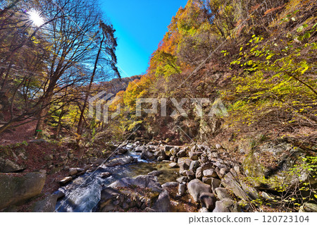 冰河溪谷的秋天 120723104