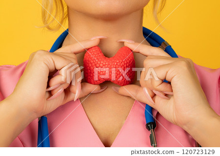 Female doctor is holding anatomical model thyroid gland. Help and care concept 120723129