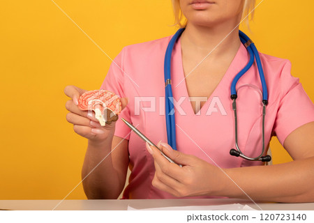 Female doctor is pointing pen anatomical model human brain. Help and care concept 120723140