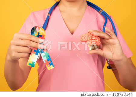 Female doctor is holding anatomical model human brain with Puzzle pattern ribbon . Help and care concept Female doctor is holding anatomical model human brain with Puzzle pattern ribbon . Help and care concept 120723144