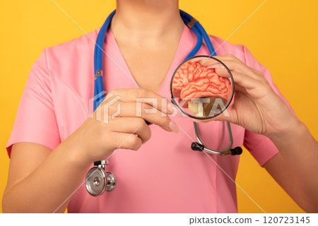 Female doctor with magnifying glass anatomical model human brain. Concept of early diagnosis of brain diseases 120723145