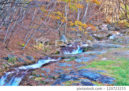 冰河溪谷的秋天 120723255