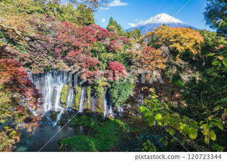 Shiraito Falls and Mt. Fuji in autumn colors as seen from an observation deck in Shizuoka Prefecture 120723344