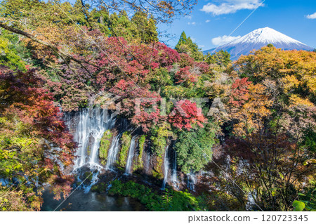 Shiraito Falls and Mt. Fuji in autumn colors as seen from an observation deck in Shizuoka Prefecture 120723345