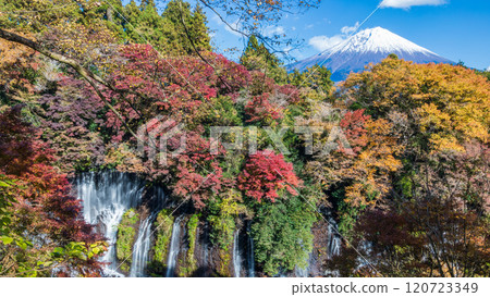 Shiraito Falls and Mt. Fuji in autumn colors as seen from an observation deck in Shizuoka Prefecture 120723349