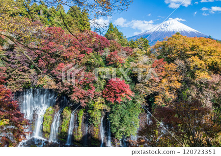 Shiraito Falls and Mt. Fuji in autumn colors as seen from an observation deck in Shizuoka Prefecture 120723351