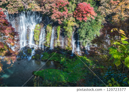 靜岡縣富士宮市被秋葉包圍的白絲瀑布 靜岡縣富士宮市被秋葉包圍的白絲瀑布 120723377