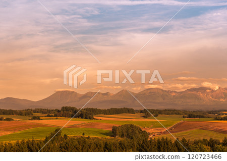 [從美瑛町信永山眺望秋日的夕陽和十勝岳] 120723466
