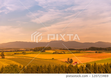 [Autumn sunset from Shin-Ei Hill, Biei Town] 120723469