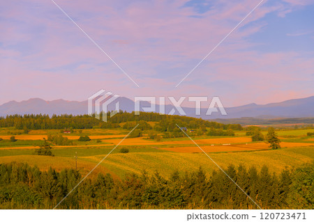 [美瑛町志榮山的秋日夕陽] 120723471