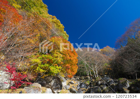 冰河溪谷青雲寺岩石庭園的秋天 120723534
