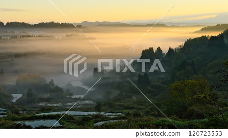 秋天的十日町市，星峠的梯田上晨霧繚繞，被朝陽染上的神奇景象 120723553