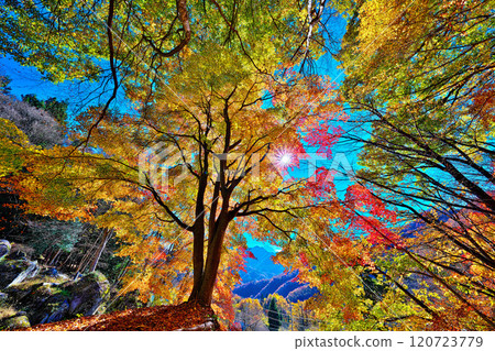 冰河溪谷青雲寺岩石庭園的秋天 120723779