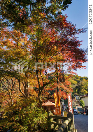 高尾山、清瀧站前、參拜道上的紅葉、十一月下旬 高尾山、清瀧站前、參拜道上的紅葉、十一月下旬 120723841