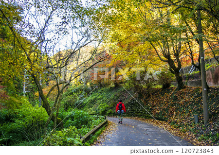 Mount Takao Biwataki Course (Route 6) From Kiyotaki Station to the hiking trail Late November 120723843