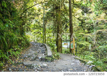 Mount Takao Biwataki Course (Route 6) Hiking trail Biwataki (right) and the junction to the summit of Mount Takao (left) Late November 120723850