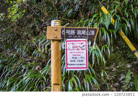 高尾山琵琶瀧路線(國道6號線) 琵琶瀧山路(右)與高尾山山頂的分叉點 11月下旬 高尾山琵琶瀧路線(國道6號線) 琵琶瀧山路(右)與高尾山山頂的分叉點 11月下旬 120723851