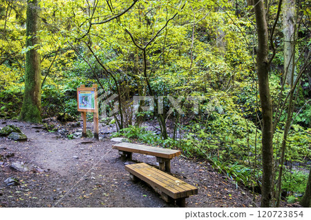Mount Takao Biwataki Course (Route 6) Hiking trail Mid-way rest area Towards Oyama Bridge Late November 120723854