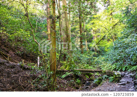 高尾琵琶瀧路線(國道6號線)登山路線從小山橋至第一橋 11月下旬 高尾琵琶瀧路線(國道6號線)登山路線從小山橋至第一橋 11月下旬 120723859