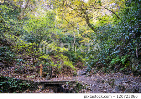 高尾山、琵琶瀑布路線（6號路線）、登山步道、踏腳石入口、11月下旬 120723866